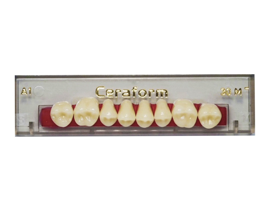 Ceraform Porcelain Posterior Teeth