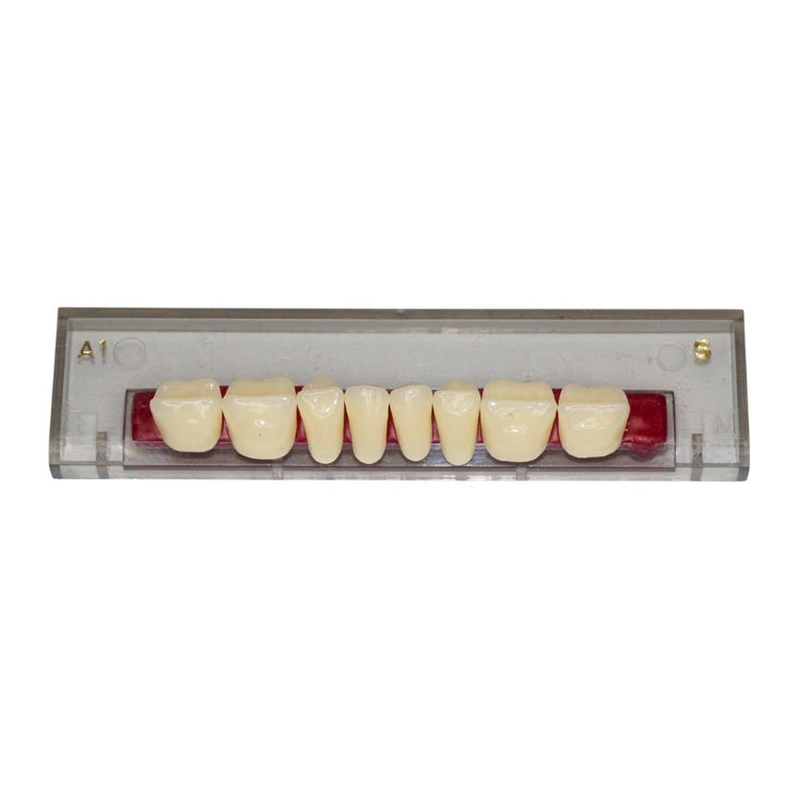 Porcelain Linear Occlusion Posteriors