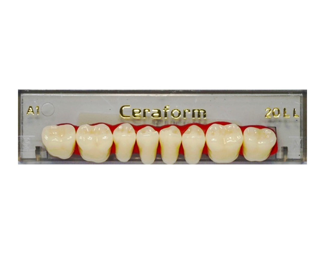 Ceraform Posterior Teeth