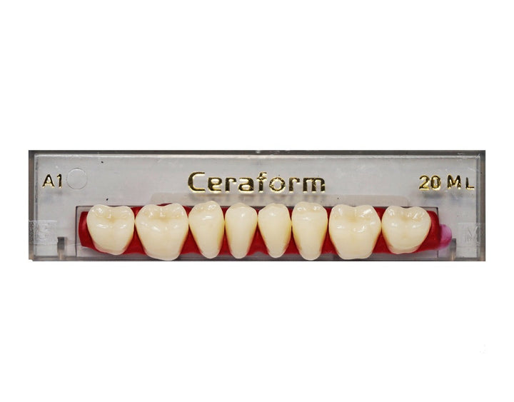 Ceraform Posterior Teeth