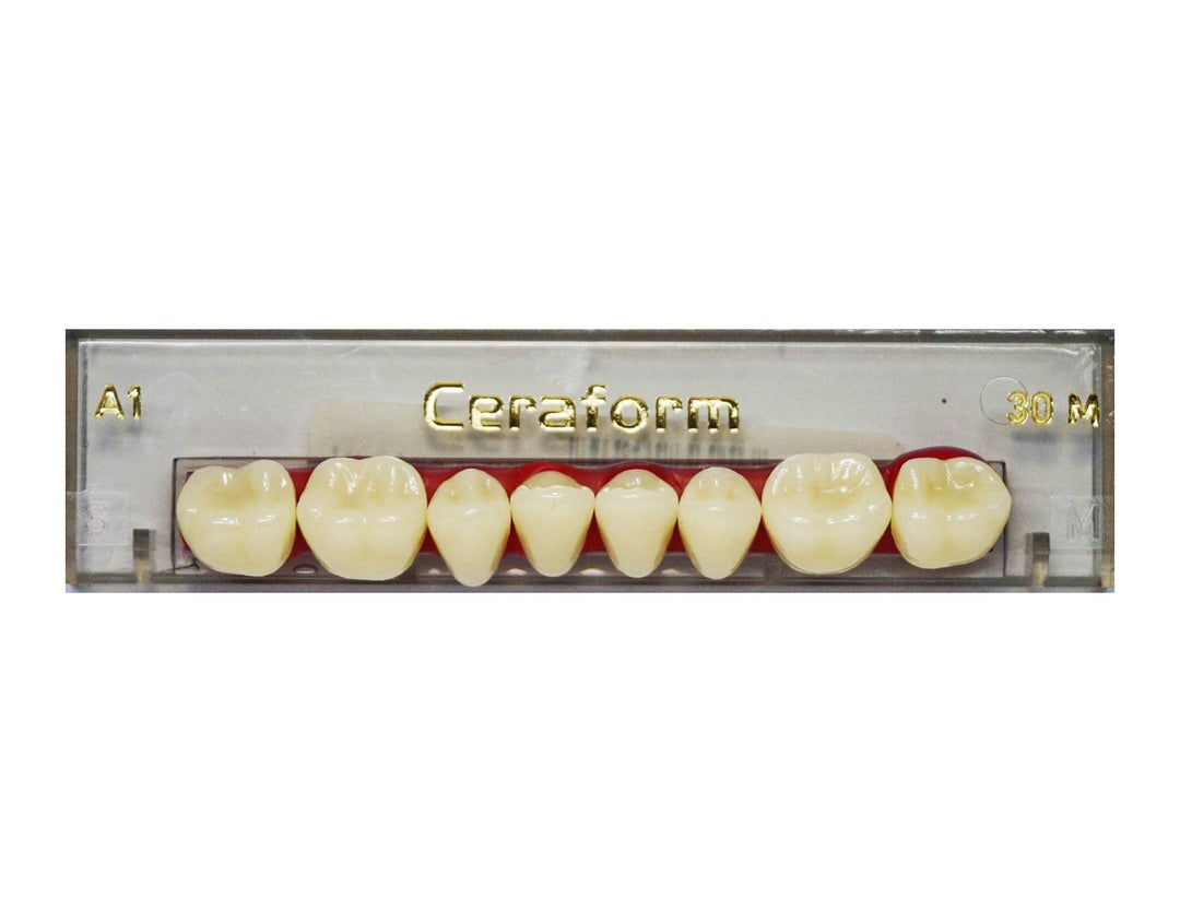 Ceraform Posterior Teeth