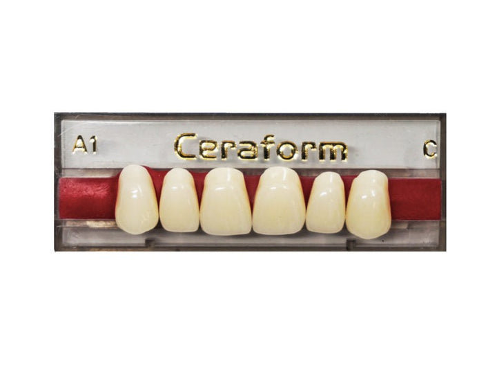 Ceraform Anterior Teeth - Upper