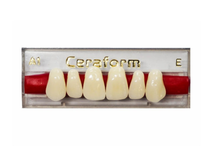 Ceraform Anterior Teeth - Upper