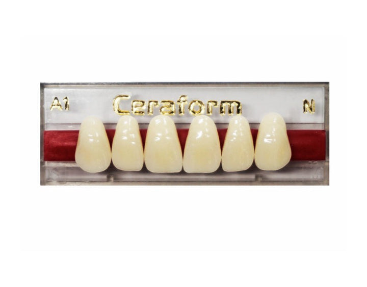 Ceraform Anterior Teeth - Upper