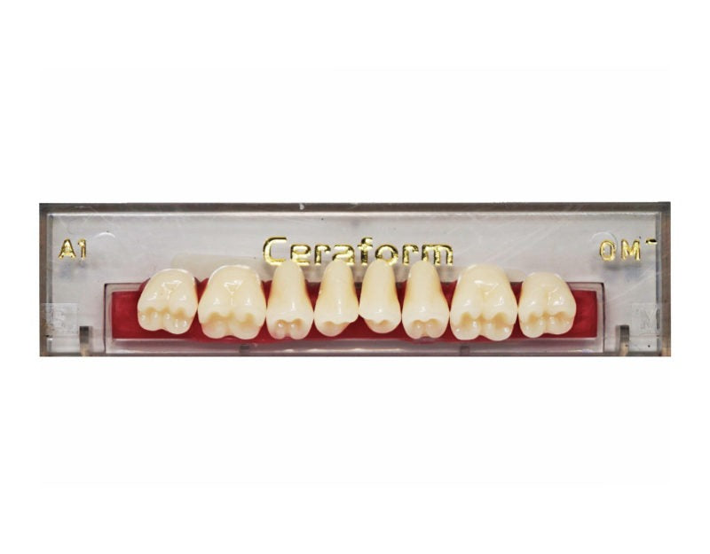Ceraform Posterior Teeth
