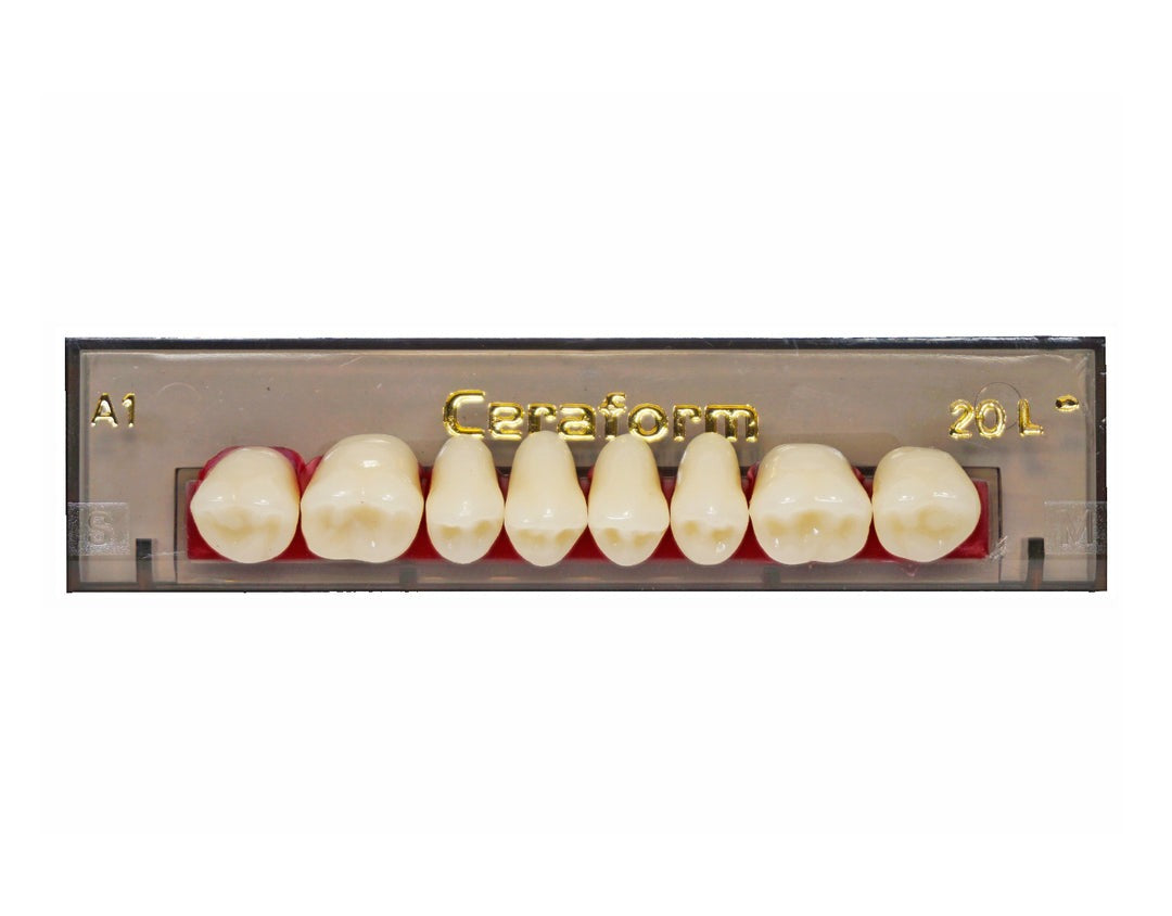 Ceraform Posterior Teeth