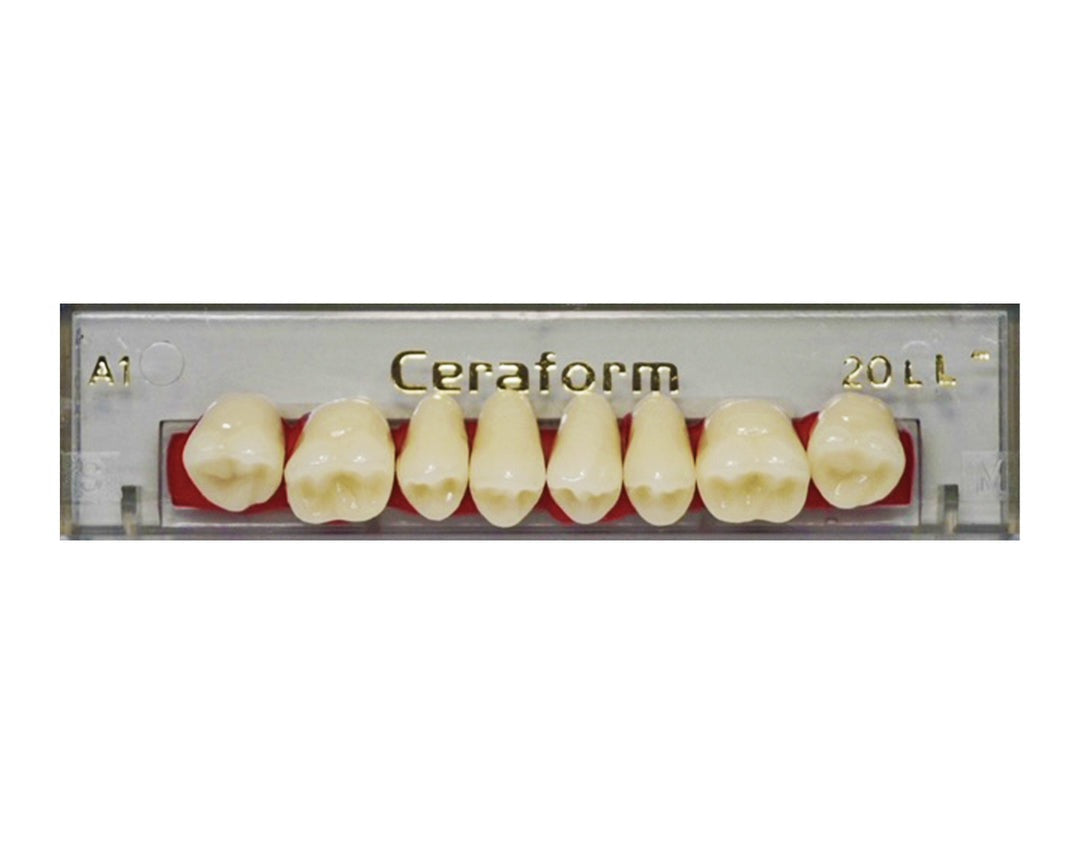 Ceraform Posterior Teeth