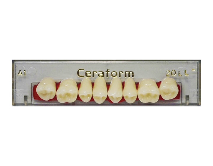 Ceraform Posterior Teeth