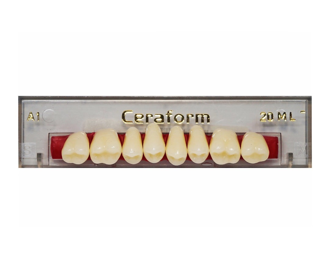 Ceraform Posterior Teeth