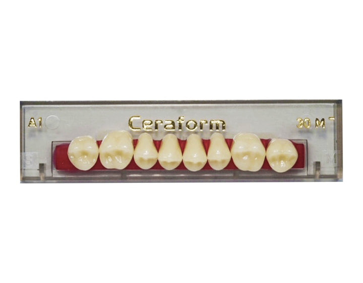 Ceraform Posterior Teeth